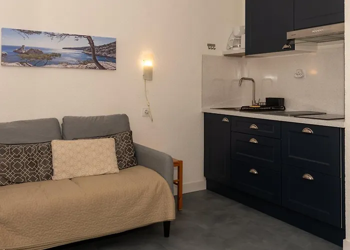 Apartman Proche Avec Parking Pour 2 Pers. - Fr-1-803-11 Le Lavandou